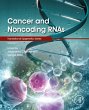 Cancer and Noncoding RNAs (eBook, ePUB) - Bild 1