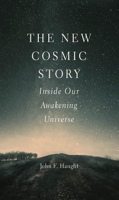 Cover The New Cosmic Story (eBook, ePUB)