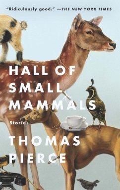 Hall of Small Mammals (eBook, ePUB) - Pierce, Thomas