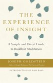 The Experience of Insight (eBook, ePUB)