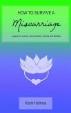 How to Survive a Miscarriage (eBook, ePUB)