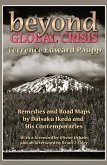 Beyond Global Crisis (eBook, PDF)