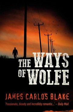 The Ways of Wolfe (eBook, ePUB) - Blake, James Carlos