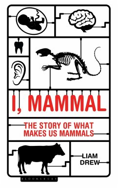I, Mammal (eBook, ePUB) - Drew, Liam