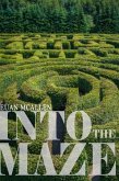 Into The Maze (eBook, PDF)