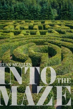 Cover Into The Maze (eBook, PDF)