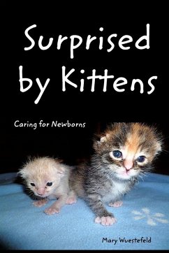 Cover Surprised By Kittens