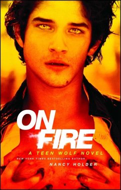 On Fire (eBook, ePUB) - Holder, Nancy