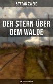 Der Stern über dem Walde: Eine Liebesgeschichte (eBook, ePUB)