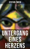 Untergang eines Herzens (eBook, ePUB)