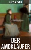 Der Amokläufer (eBook, ePUB)