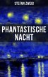 Phantastische Nacht (eBook, ePUB) - Bild 1