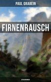 Firnenrausch: Ein Bergroman (eBook, ePUB)