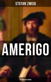 Amerigo: Historischer Roman (eBook, ePUB)