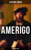 Amerigo: Historischer Roman (eBook, ePUB)