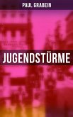 Jugendstürme (eBook, ePUB)