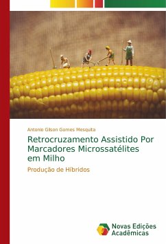 Retrocruzamento Assistido Por Marcadores Microssatélites em Milho