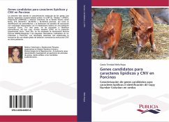 Genes candidatos para caracteres lipídicos y CNV en Porcinos - Melo Rojas, Carola Trinidad