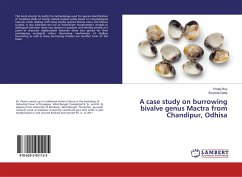 A case study on burrowing bivalve genus Mactra from Chandipur, Odhisa