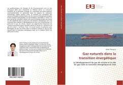 Gaz naturels dans la transition énergétique - Le, Minh Thong