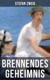 Brennendes Geheimnis (eBook, ePUB)