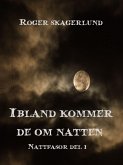 Ibland kommer de om natten (eBook, ePUB)