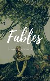 Aesop's Fables (NTMC Classics) (eBook, ePUB)