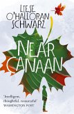Near Canaan (eBook, ePUB)