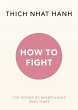 How To Fight (eBook, ePUB) - Bild 1