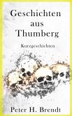 Geschichten aus Thumberg (Band 1) (eBook, ePUB)