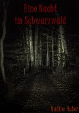 Eine Nacht im Schwarzwald (eBook, ePUB)