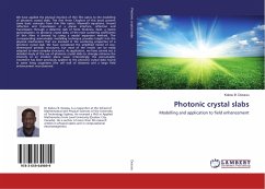 Photonic crystal slabs - Dossou, Kokou B.