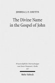 The Divine Name in the Gospel of John (eBook, PDF)