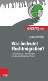 Was bedeutet Fluchtmigration? (eBook, PDF)