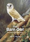 Barn Owl