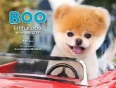Boo: Little Dog in the Big City (eBook, ePUB)