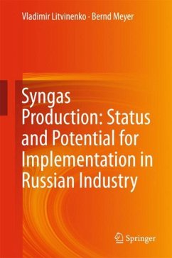 Syngas Production: Status and Potential for Implementation in Russian Industry - Litvinenko, Vladimir;Meyer, Bernd