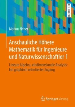 Anschauliche Höhere Mathematik für Ingenieure und Naturwissenschaftler 1 - Neher, Markus