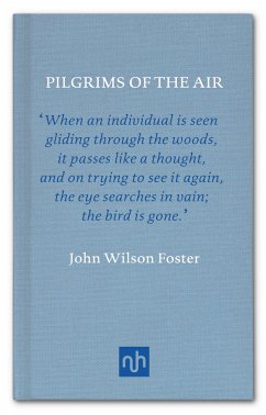 Pilgrims of the Air (eBook, ePUB) - Wilson Foster, John