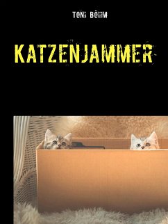 Katzenjammer (eBook, ePUB) - Böhm, Toni