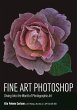 Fine Art Photoshop (eBook, ePUB) - Bild 1