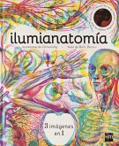 Ilumianatomía