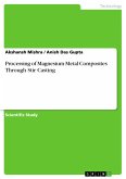 Processing of Magnesium Metal Composites Through Stir Casting (eBook, PDF)