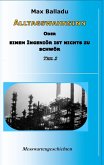Alltagswahnsinn oder Einem Ingeniör ist nichts zu schwör (eBook, ePUB)