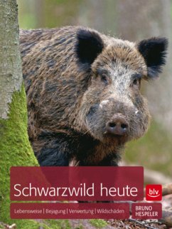 Schwarzwild heute (Mängelexemplar) - Hespeler, Bruno