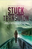 Stuck in Transition (eBook, ePUB)