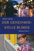 Der geheimnisvolle Blinde (eBook, ePUB)