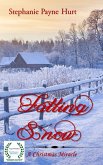Falling Snow - A Christmas Miracle (eBook, ePUB)