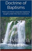 Doctrine of Baptisms (Foundation doctrines of Christ, #3) (eBook, ePUB) Doctrine of Baptisms (Foundation doctrines of Christ, #3) (eBook, ePUB)