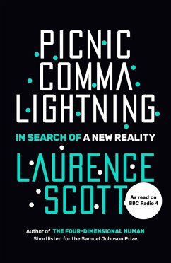 Picnic Comma Lightning (eBook, ePUB) - Scott, Laurence